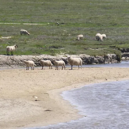 In Brehal Near Sandy Beach, Cleaning Included Ferienhaus